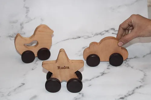 Wooden Push Toys