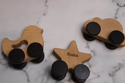 Wooden Push Toys