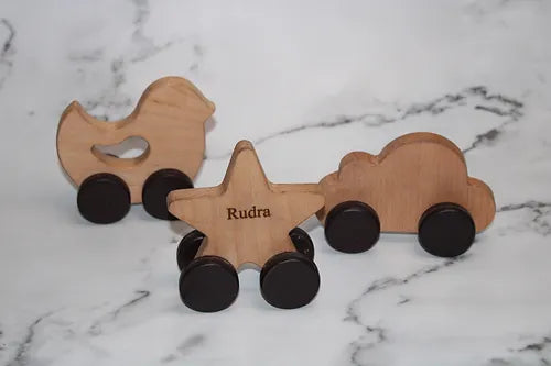 Wooden Push Toys